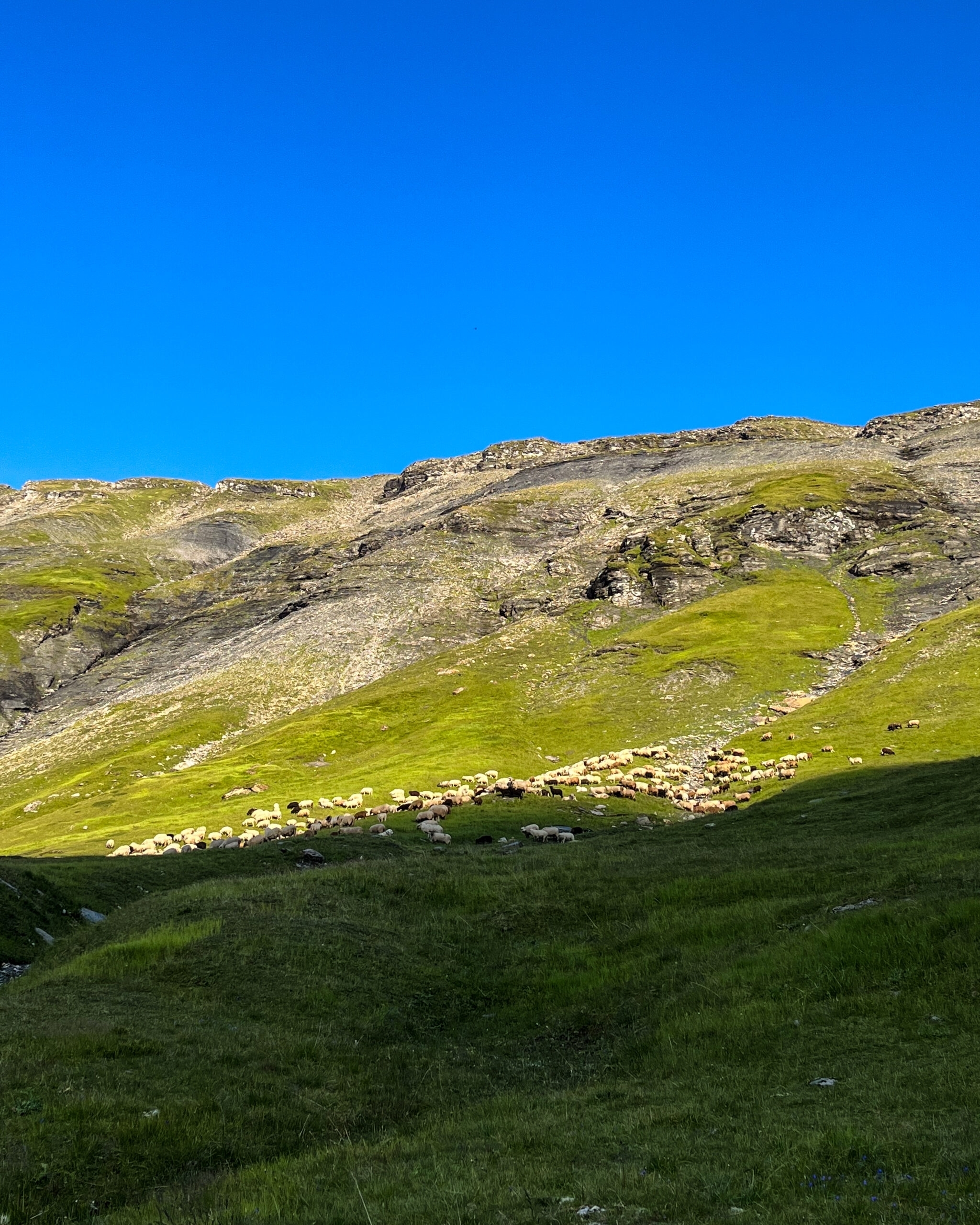 Trek Haute-Savoie alpage