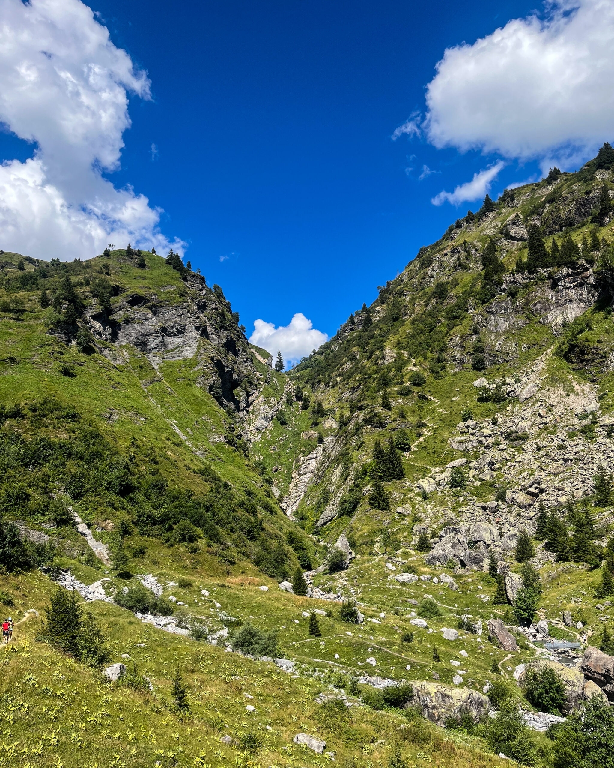 Trek Haute-Savoie chemin