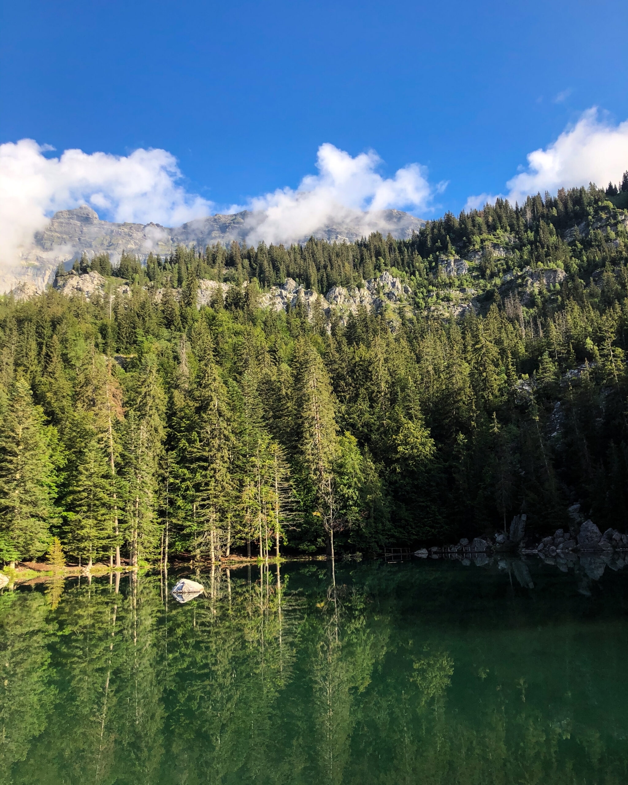 Trek Haute-Savoie lac vert