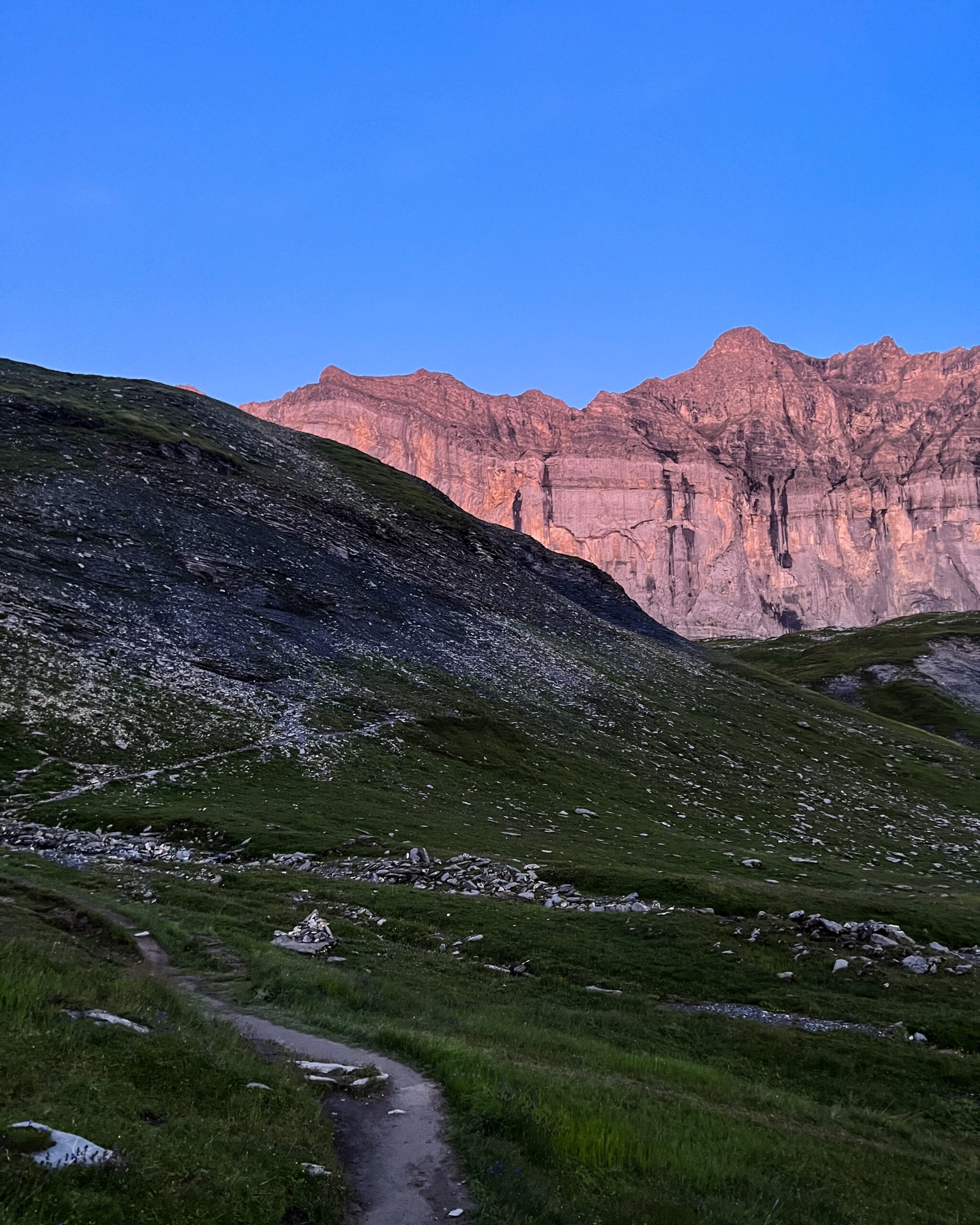 Trek Haute-Savoie tête à l'âne