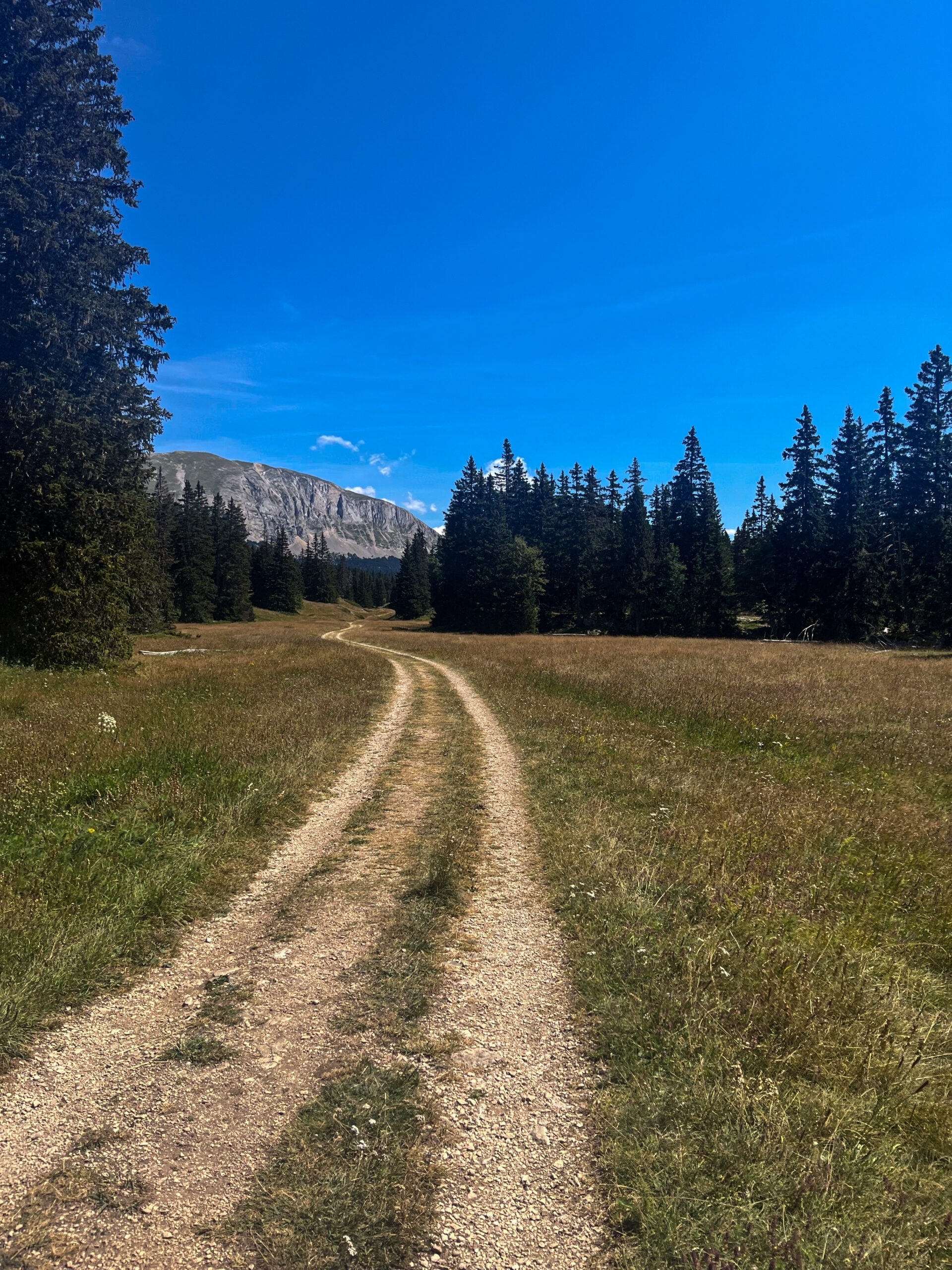 Trek Vercors chemin