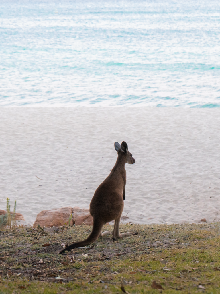 Meelup Beach