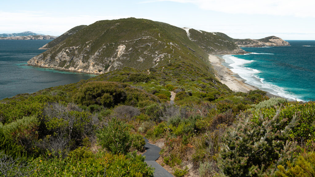 Bald Head Walk Trail