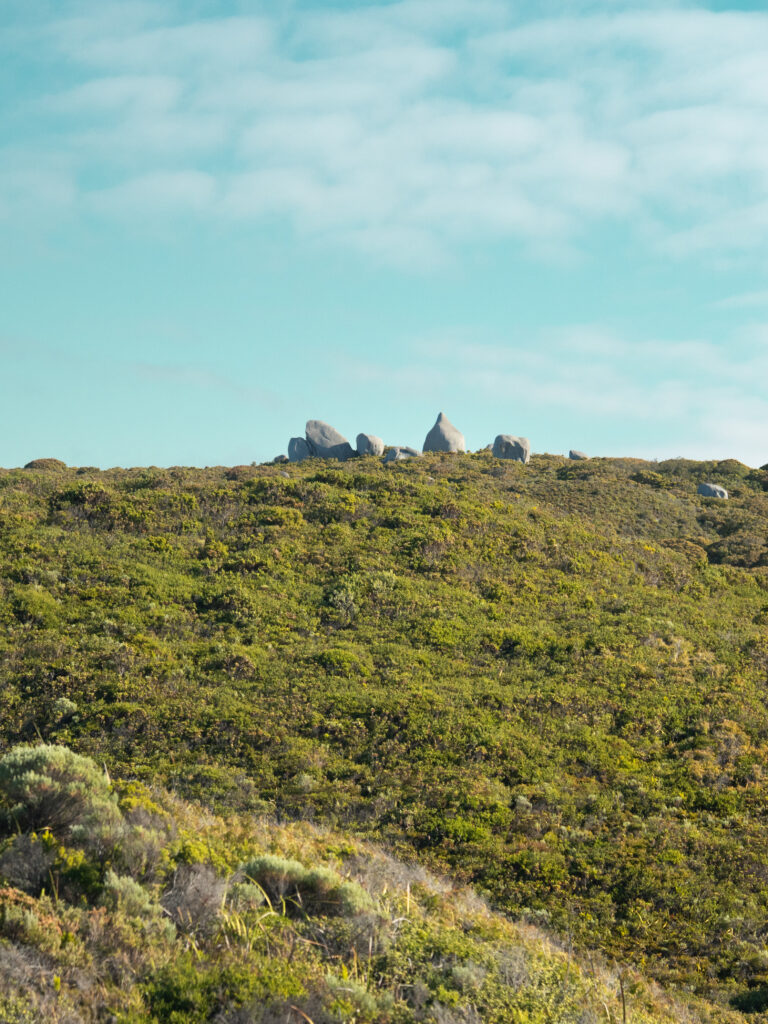 Elephant Rocks - Paysage